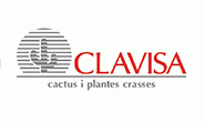 Clavisa