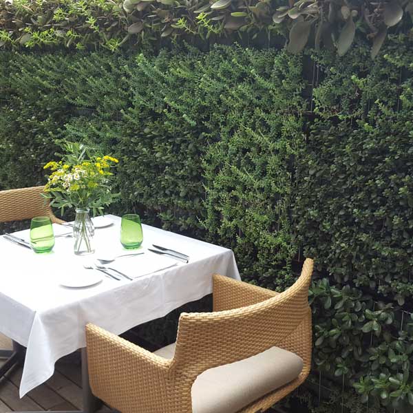 jardin vertical restaurante majestic barcelona