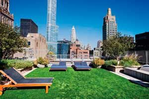 green roof new york