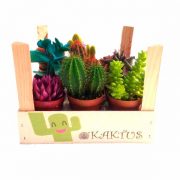 Cactus colorits en caixa de fusta