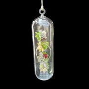 Hang grande de cristal con plantas crasas decorativas de clavisa