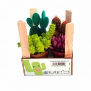 Pack madera con cactus coloridos de 5,5cm de clavisa
